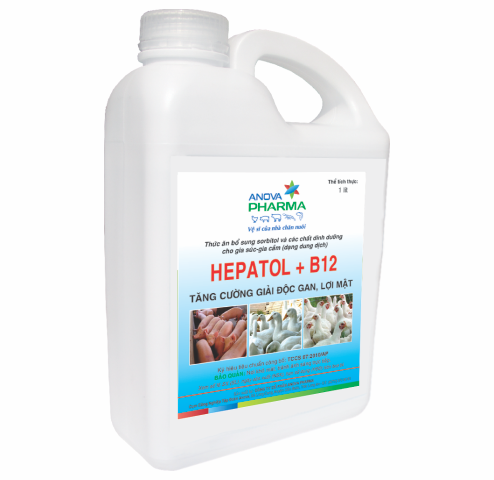 HEPATOL+B12
