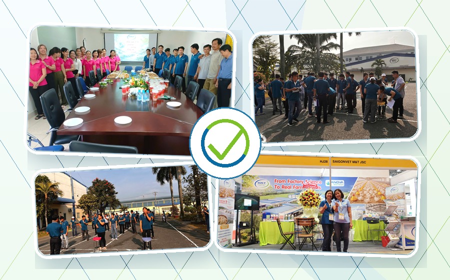 Văn hóa gắn kết tại Sài Gòn Vet